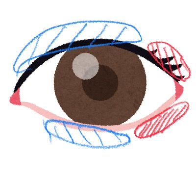 f:id:cosmeticlike:20210923232425j:plain
