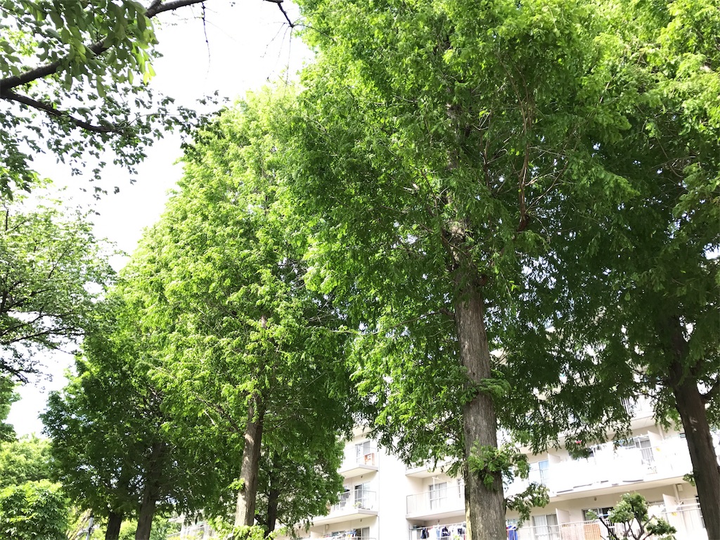 f:id:cosmicgrace:20170507221135j:image f:id:cosmicgrace:20170507221135j:image