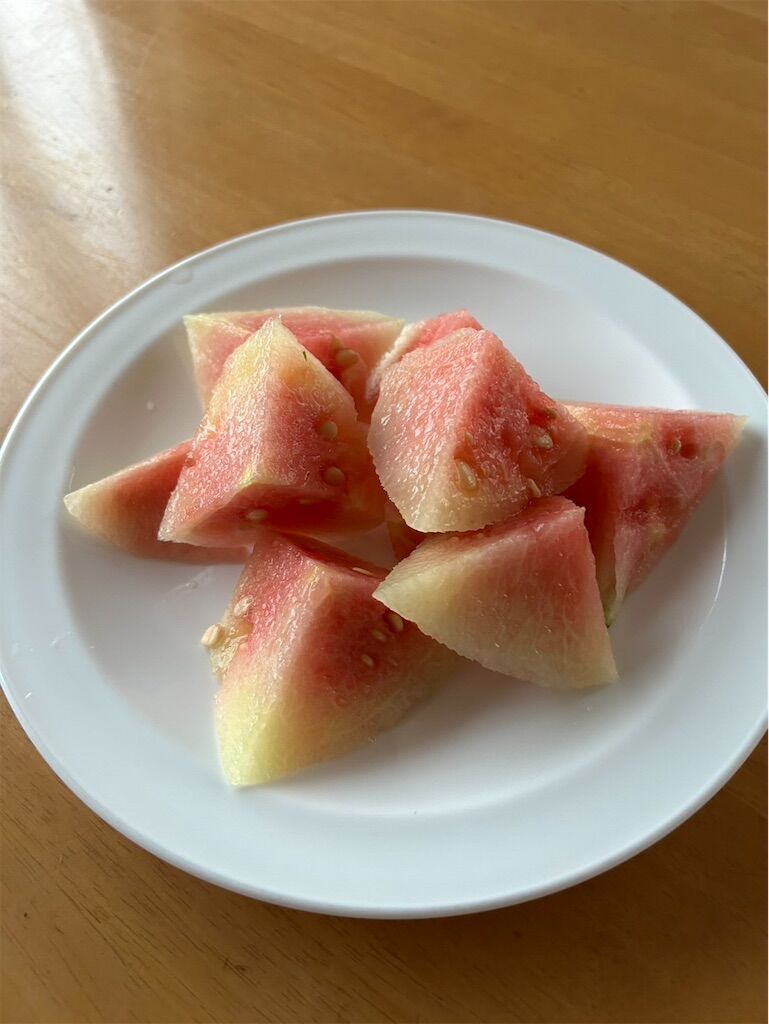 f:id:cosmos-children2021:20250708190331j:image