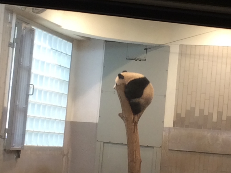 f:id:cosmos0701:20180324110519j:image