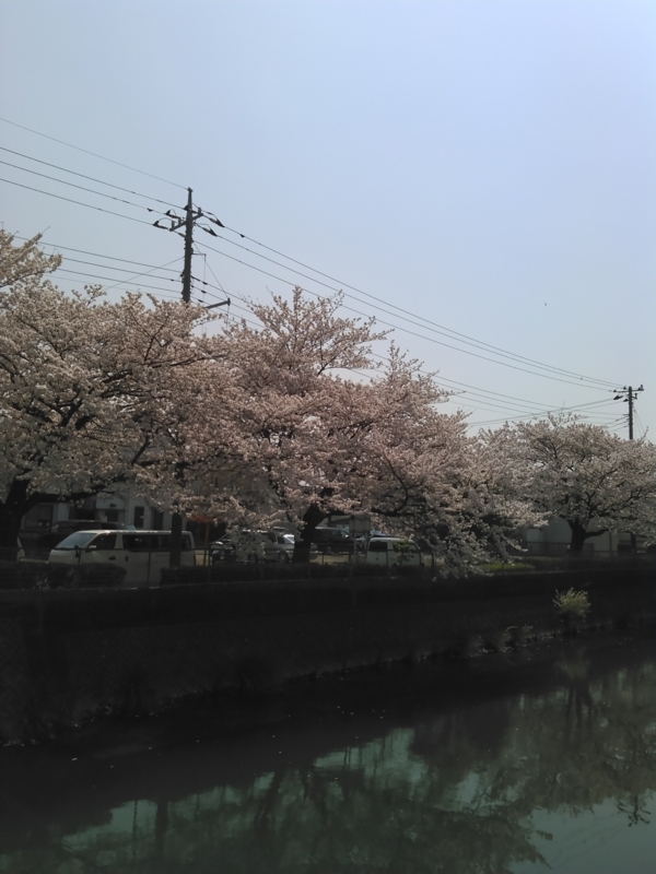 f:id:cosmos0701:20180328110700j:image:w360