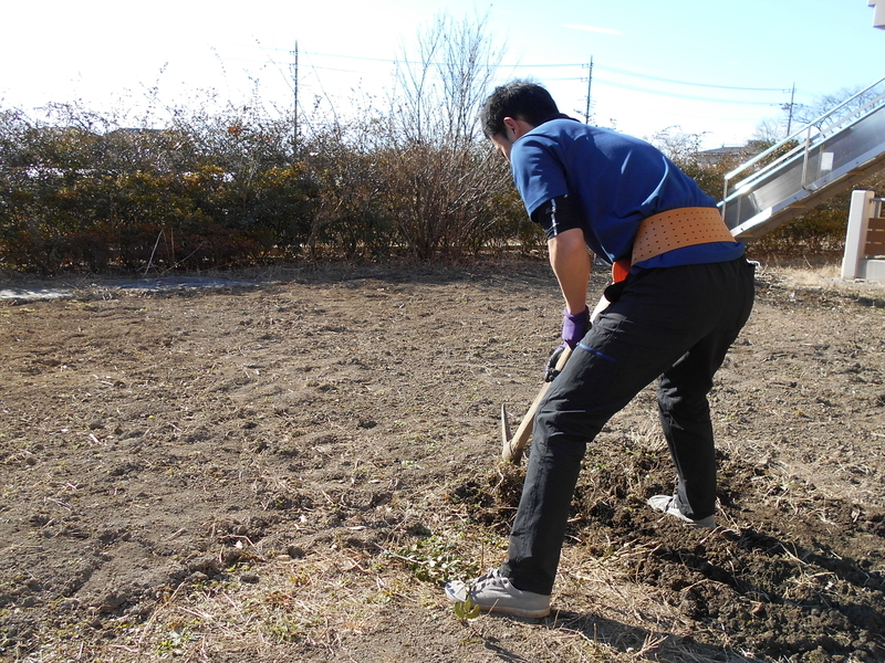 f:id:cosmos0701:20190112173632j:image:w360