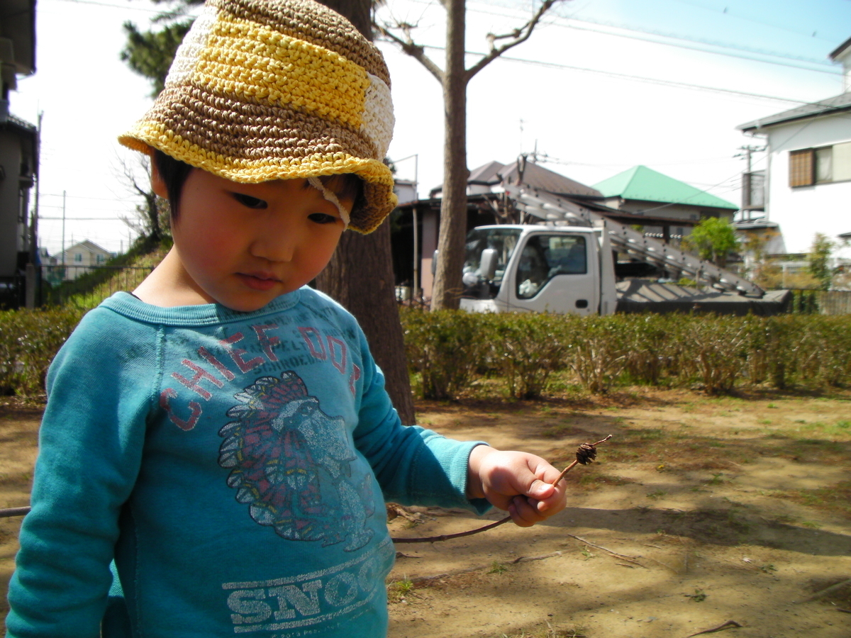 f:id:cosmos0701:20190405102302j:plain f:id:cosmos0701:20190405102302j:plain