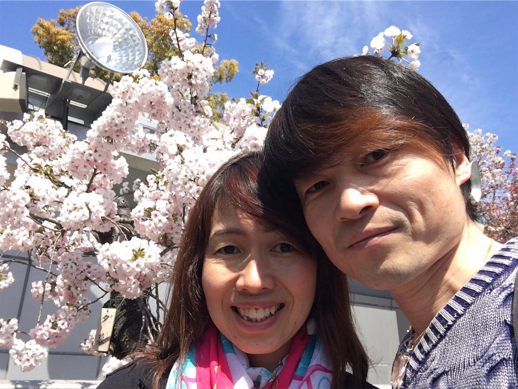f:id:cosmoshitomi:20190426120448j:image