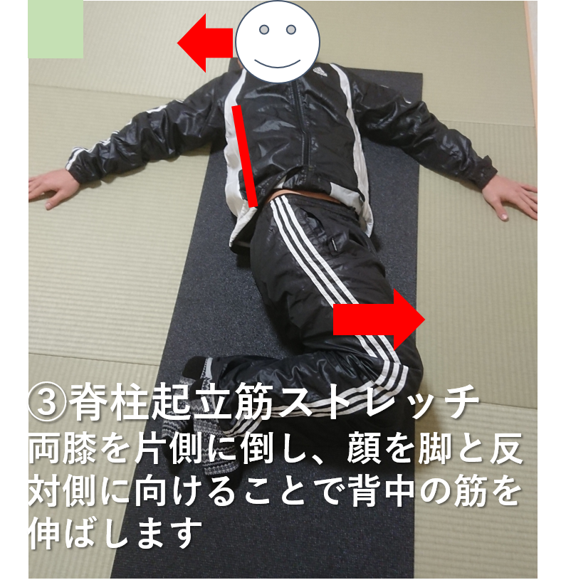 f:id:cossack_pt:20190109170550p:plain