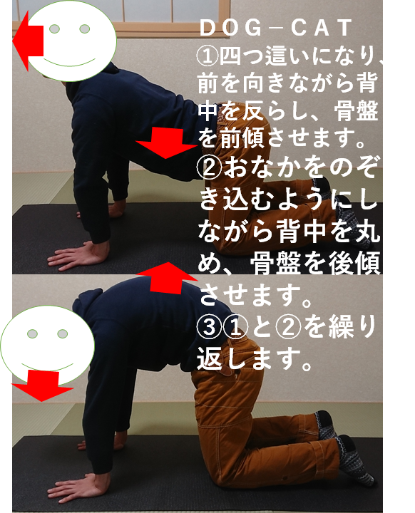 f:id:cossack_pt:20190211003542p:plain