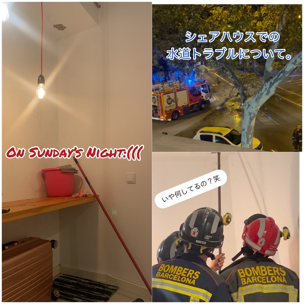 f:id:costanoa:20211018044450j:image