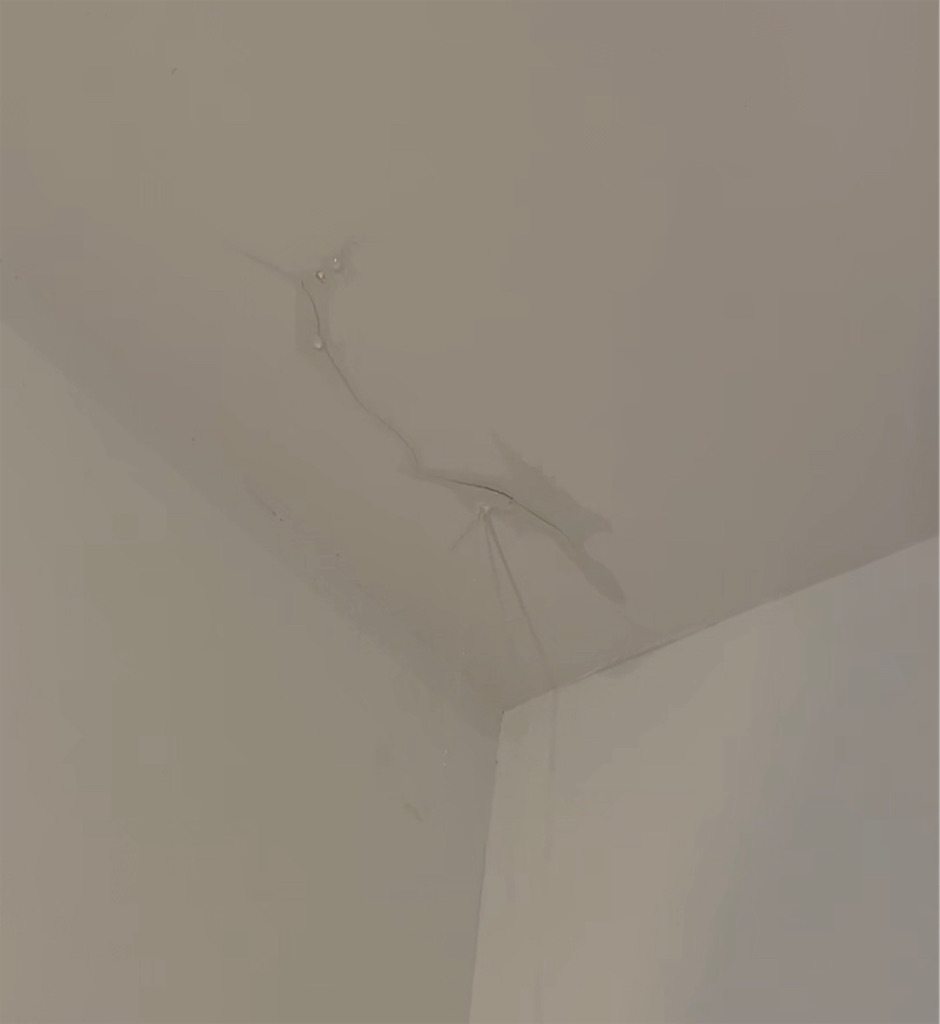 f:id:costanoa:20211018044730j:image