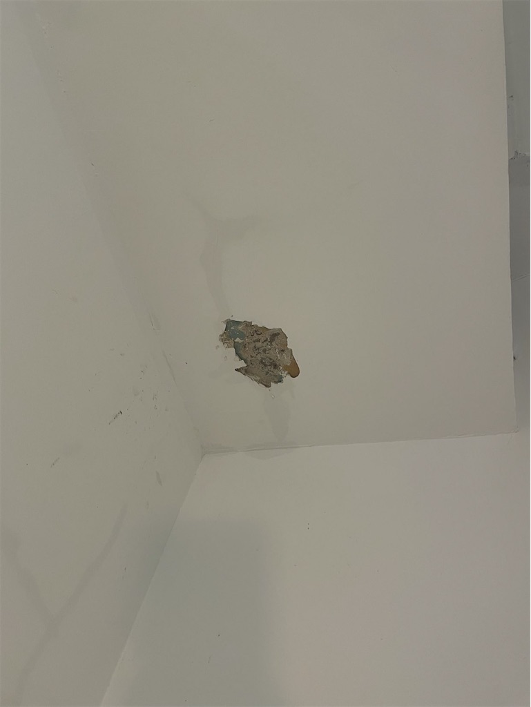 f:id:costanoa:20211018044807j:image