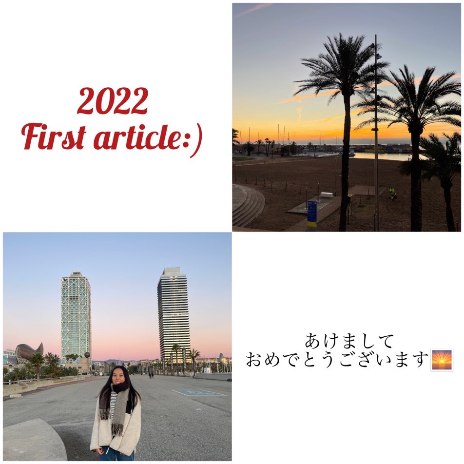 f:id:costanoa:20220113070525j:plain