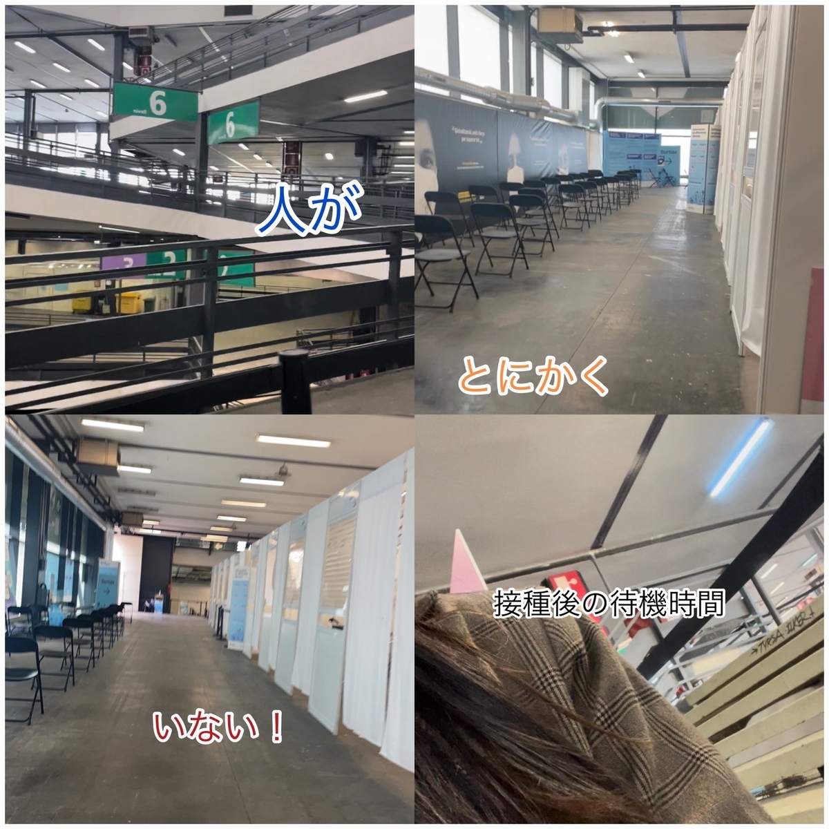 f:id:costanoa:20220403170209j:plain
