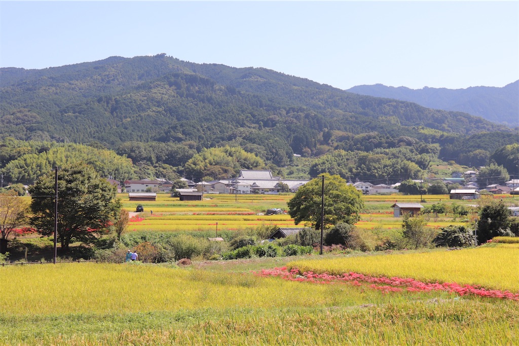 f:id:cotatumuri-N:20201004130232j:plain