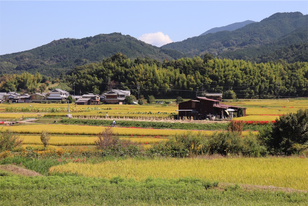 f:id:cotatumuri-N:20201004153834j:plain
