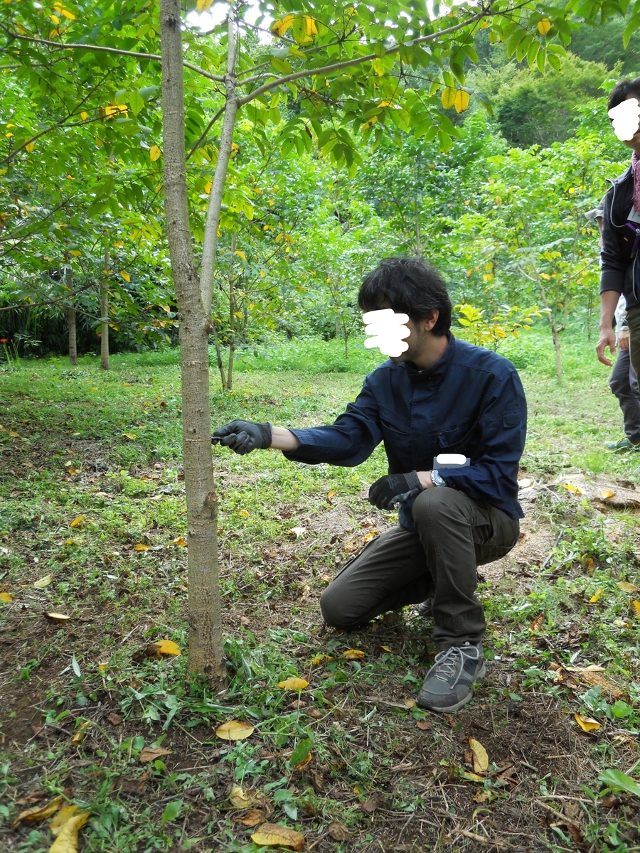 f:id:cotatumuri-N:20201209210312j:plain