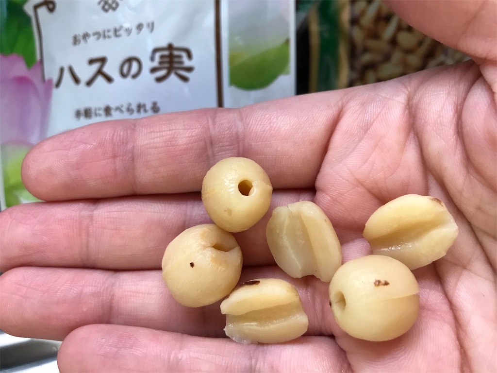 蓮の葉を使った料理 - 器とたべもの