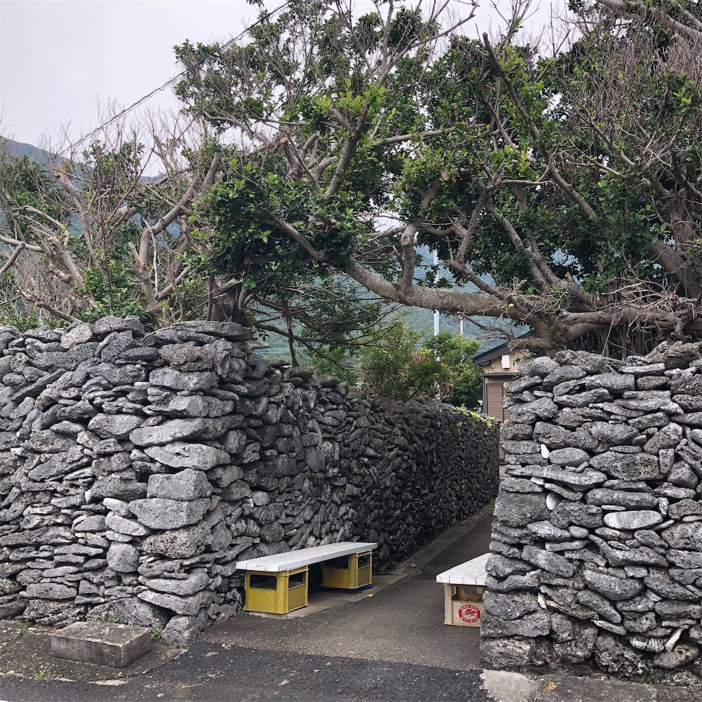 f:id:cotey:20190906233351j:image