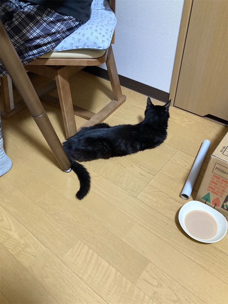 f:id:cotobuki-h:20260806192300j:image