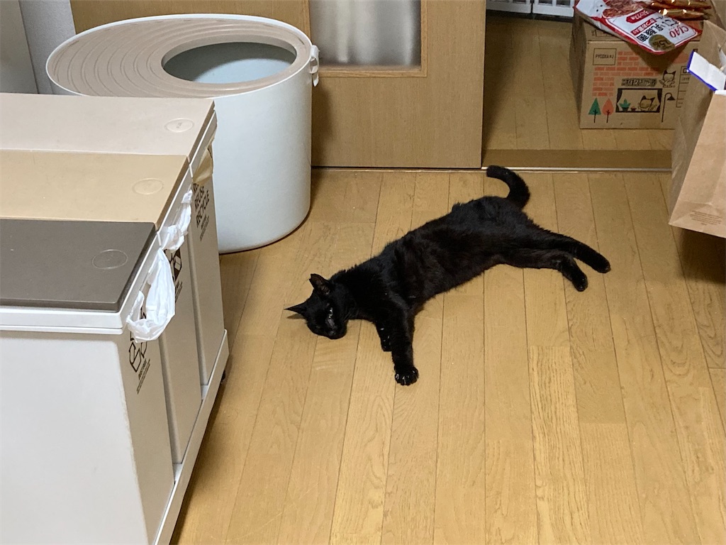 f:id:cotobuki-h:20260806193449j:image