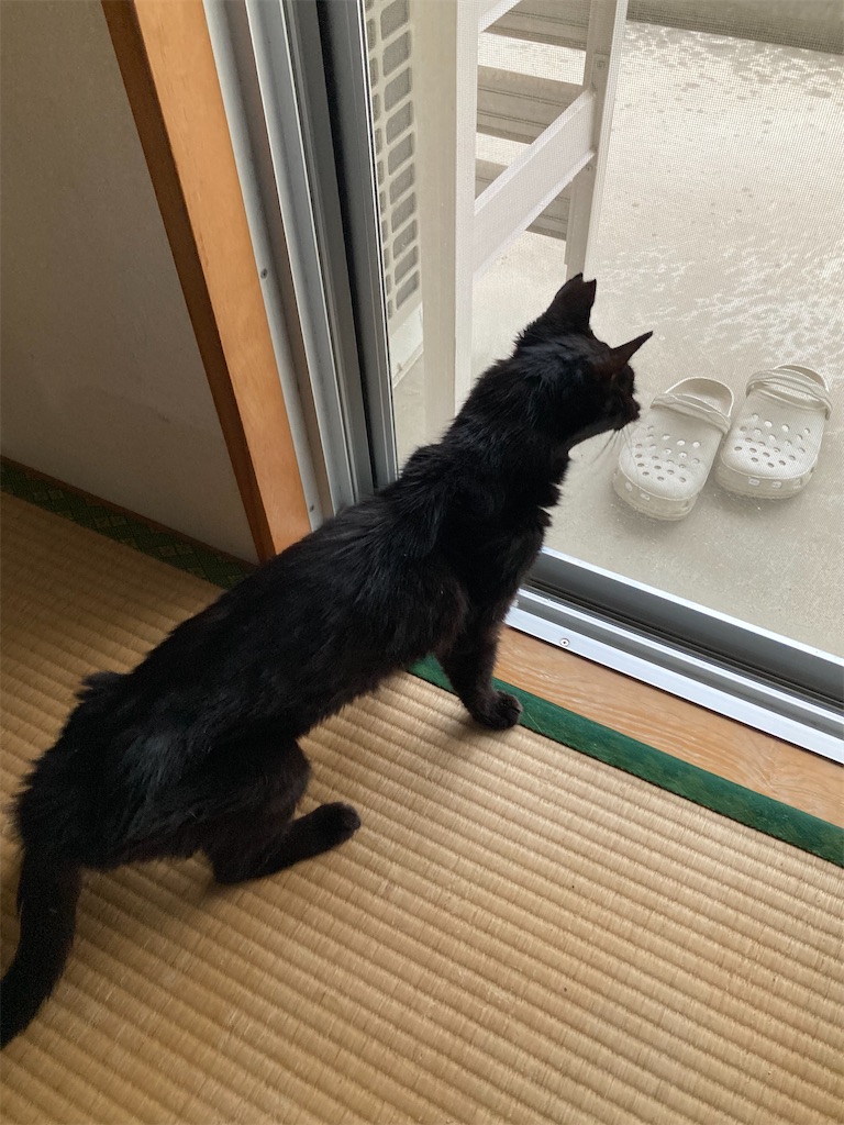 f:id:cotobuki-h:20260806193659j:image