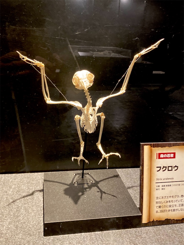 f:id:cotobuki-h:20260825150619j:image