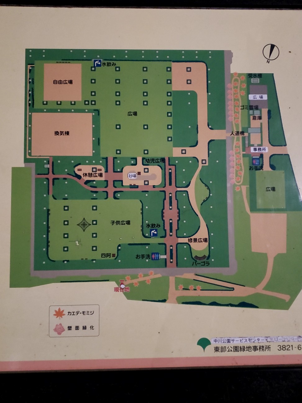 f:id:cotocotocorn:20190406074448j:image