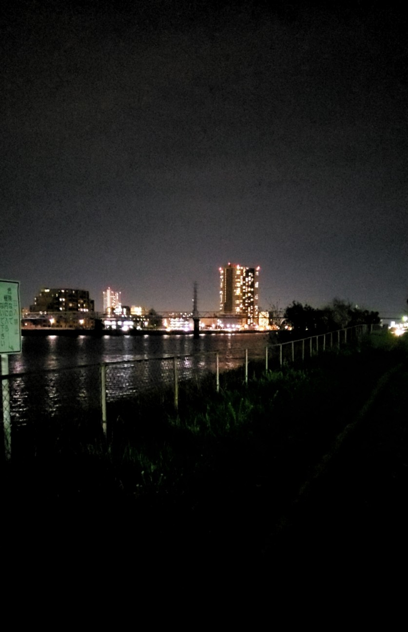 f:id:cotocotocorn:20190406075616j:image