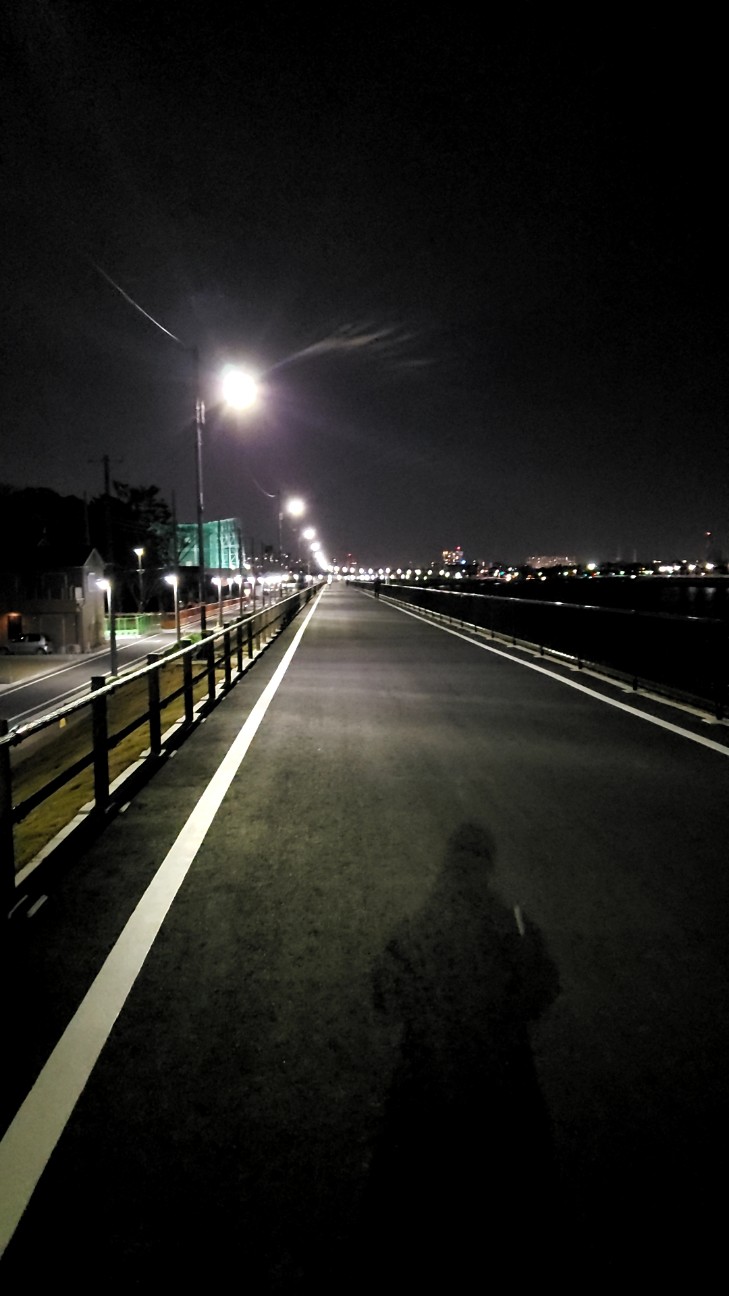 f:id:cotocotocorn:20190406075638j:image