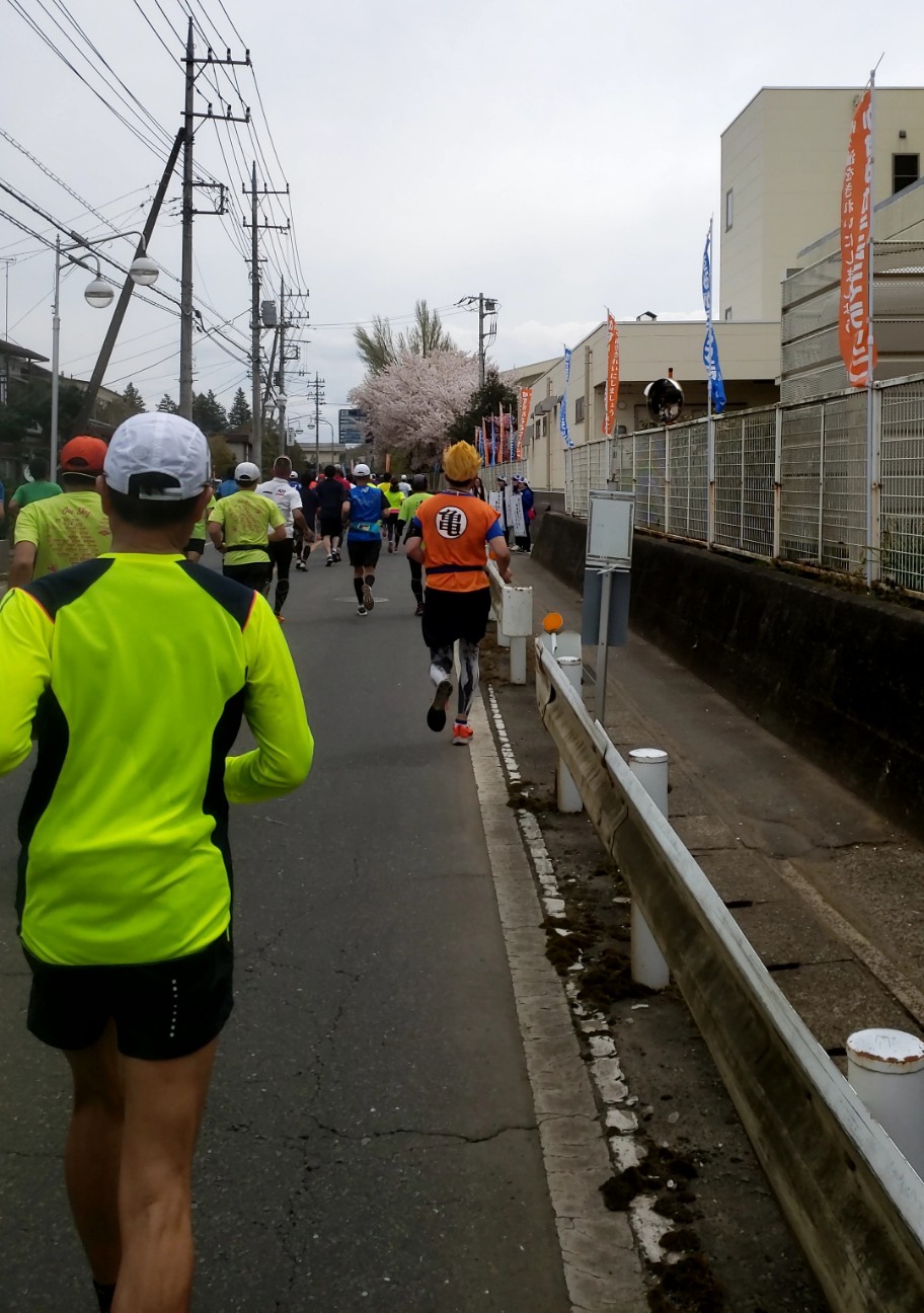f:id:cotocotocorn:20190416224037j:image