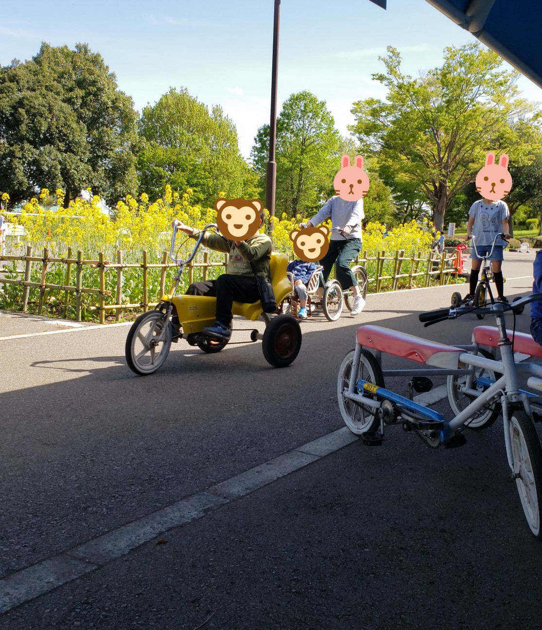 f:id:cotocotocorn:20190503061114j:image