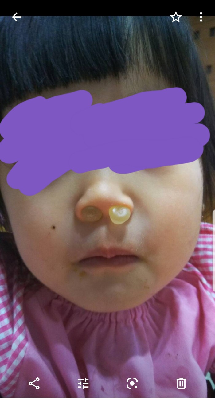 f:id:cotocotocorn:20190525175627j:image