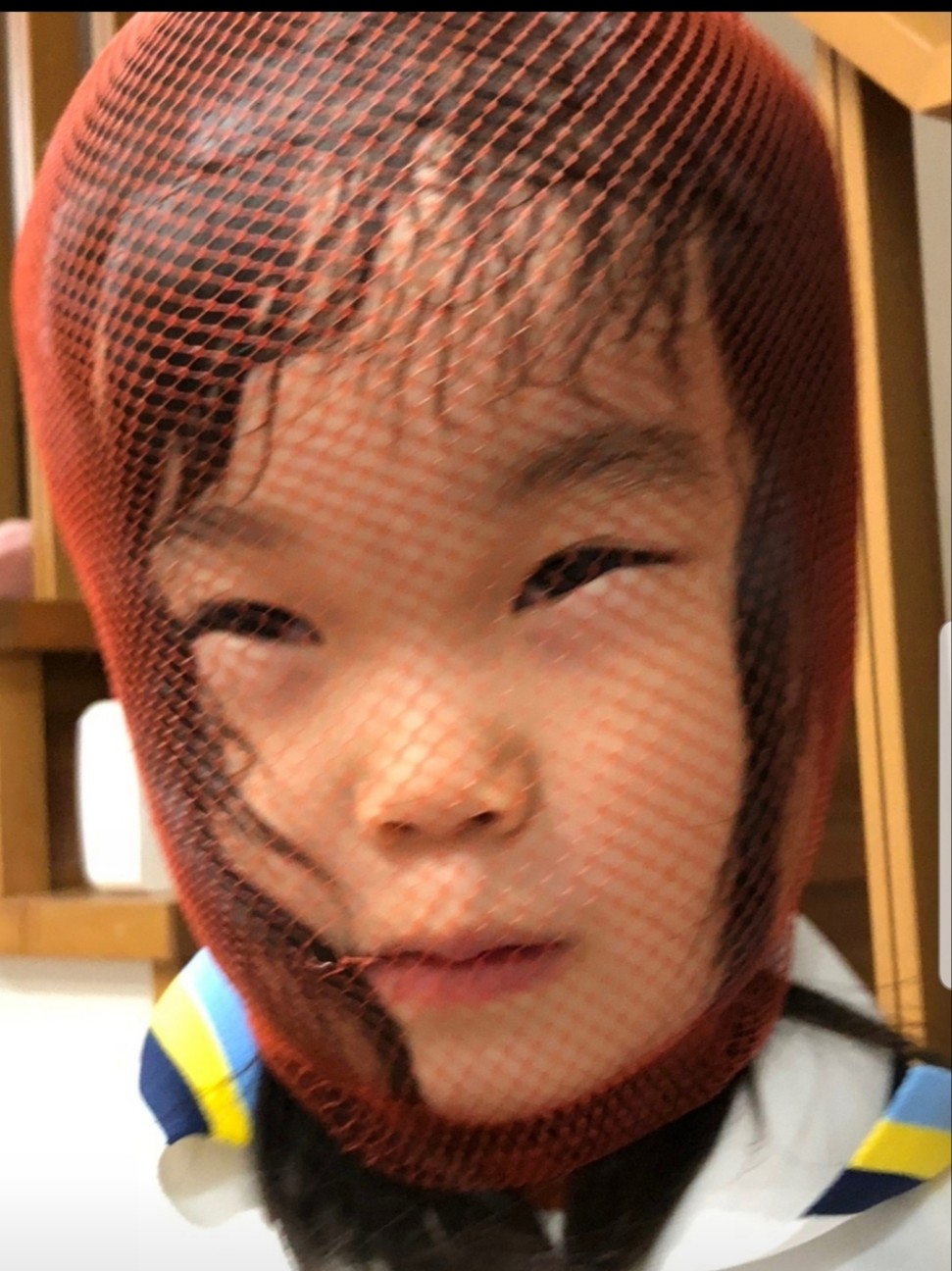 f:id:cotocotocorn:20190525180023j:image