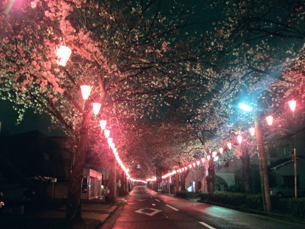 f:id:cotomo:20130327233025j:plain