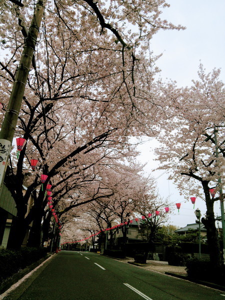 f:id:cotomo:20130402133934j:plain