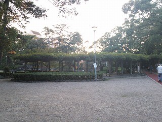 f:id:cotomo:20131111184857j:plain