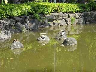 f:id:cotomo:20131111184922j:plain