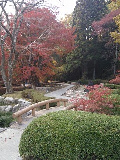 f:id:cotomo:20131124140622j:plain f:id:cotomo:20131124140622j:plain