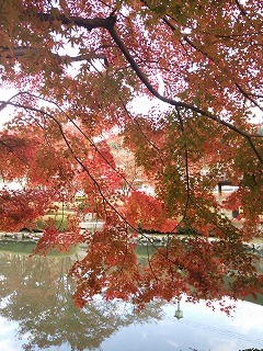 f:id:cotomo:20131124140749j:plain f:id:cotomo:20131124140749j:plain