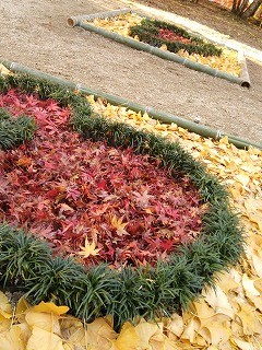 f:id:cotomo:20131124140949j:plain f:id:cotomo:20131124140949j:plain