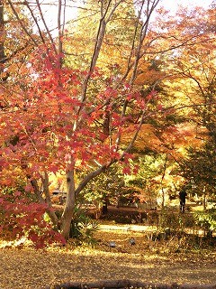 f:id:cotomo:20131124141009j:plain f:id:cotomo:20131124141009j:plain