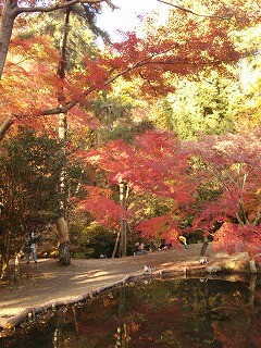 f:id:cotomo:20131124141018j:plain f:id:cotomo:20131124141018j:plain