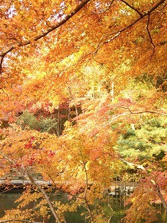 f:id:cotomo:20131124141028j:plain f:id:cotomo:20131124141028j:plain