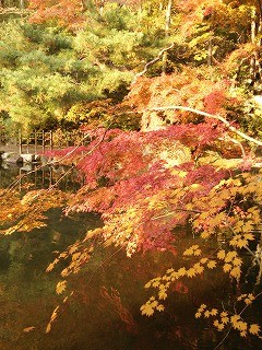 f:id:cotomo:20131124141040j:plain f:id:cotomo:20131124141040j:plain