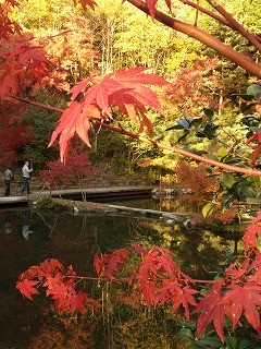 f:id:cotomo:20131124141130j:plain f:id:cotomo:20131124141130j:plain