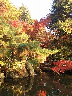 f:id:cotomo:20131124141320j:plain f:id:cotomo:20131124141320j:plain