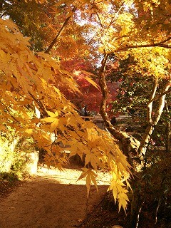 f:id:cotomo:20131124141326j:plain f:id:cotomo:20131124141326j:plain