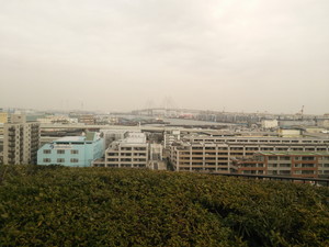 f:id:cotomo:20150225115712j:plain