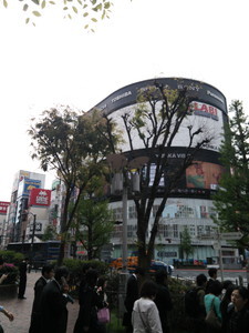 f:id:cotomo:20150422091115j:plain f:id:cotomo:20150422091115j:plain