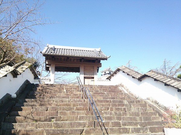 f:id:cotomo:20151117055342j:plain