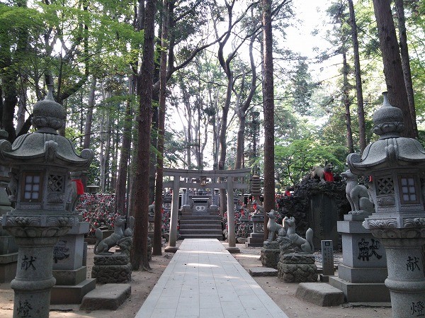 f:id:cotomo:20160122075121j:plain f:id:cotomo:20160122075121j:plain