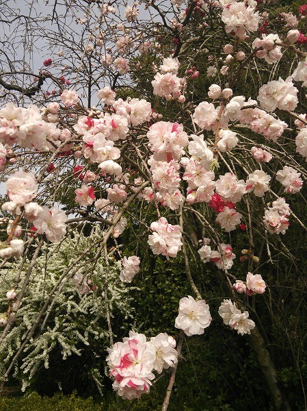 f:id:cotomo:20160124003806j:plain